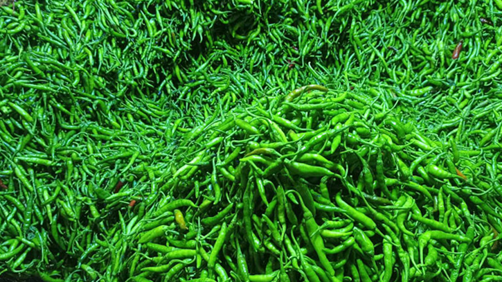 হিলি স্থলবন্দরে দিয়ে বেড়েছে কাঁচামরিচ আমদানি