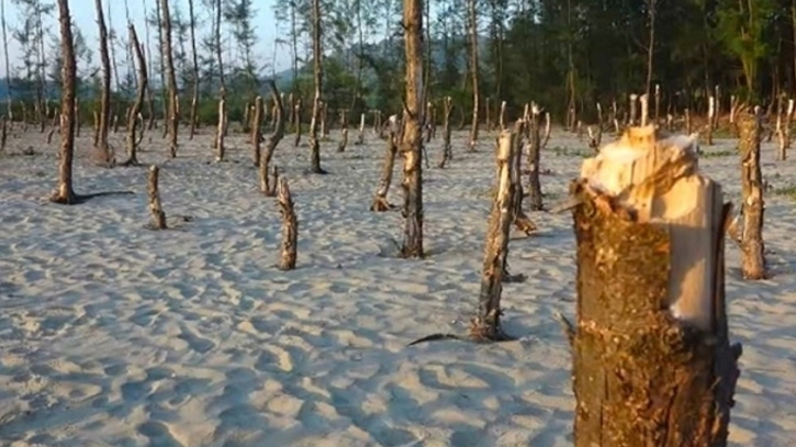কক্সবাজারে সরকারি ভূমিতে অবৈধভাবে স্থাপনা নির্মাণ অব্যাহত কক্সবাজারে সরকারি ভূমিতে অবৈধভাবে স্থাপনা নির্মাণ অব্যাহত
