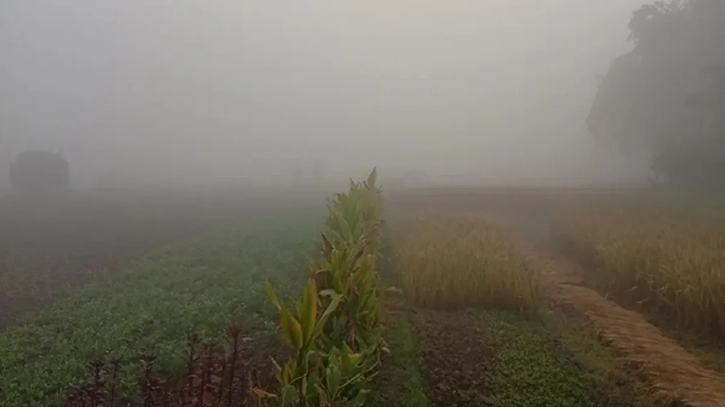 পঞ্চগড়ে হিমেল হাওয়ায় জেঁকে বসেছে শীত