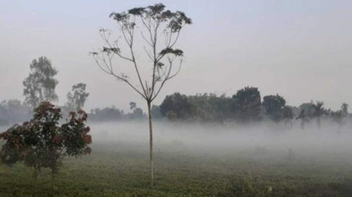 পঞ্চগড়ে তাপমাত্রা নামল ১২ ডিগ্রিতে