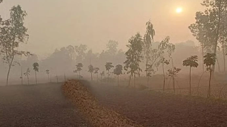 তেঁতুলিয়ায় টানা চার দিন সর্বনিম্ন তাপমাত্রা ১০ ডিগ্রি