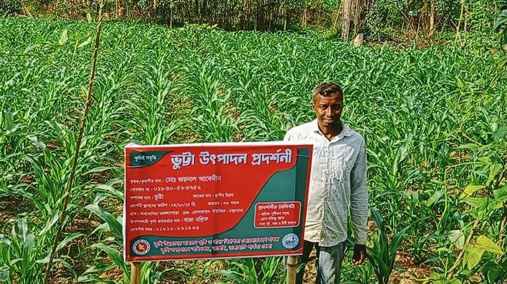 ভুট্টা চাষে সফল কাপ্তাইয়ের জয়নাল আবেদীন