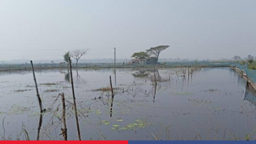 সোনার ফসলের বিল ডাকাতিয়া এখন পানির দখলে
