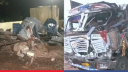 ভারতের মধ্যপ্রদেশে ট্রাকচাপায় ১২ পুণ্যার্থী নিহত