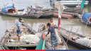 মেঘনায় ২২ দিন মাছ ধরা নিষিদ্ধ