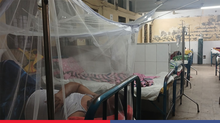Dengue kills five more, toll reaches 294
