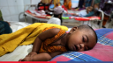 Measles symptoms claim seven more lives in 24 hours