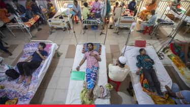 Dengue kills eight more, toll reaches 289 Dengue kills eight more, toll reaches 289