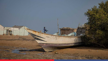 Djibouti to Yemen overturns, 109 migrants dead and 116 missing Djibouti to Yemen overturns, 109 migrants dead and 116 missing