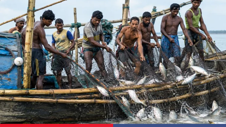 Govt allocates 1,657 tonnes of rice for hilsa-ban families